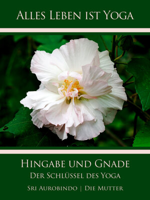 cover image of Hingabe und Gnade